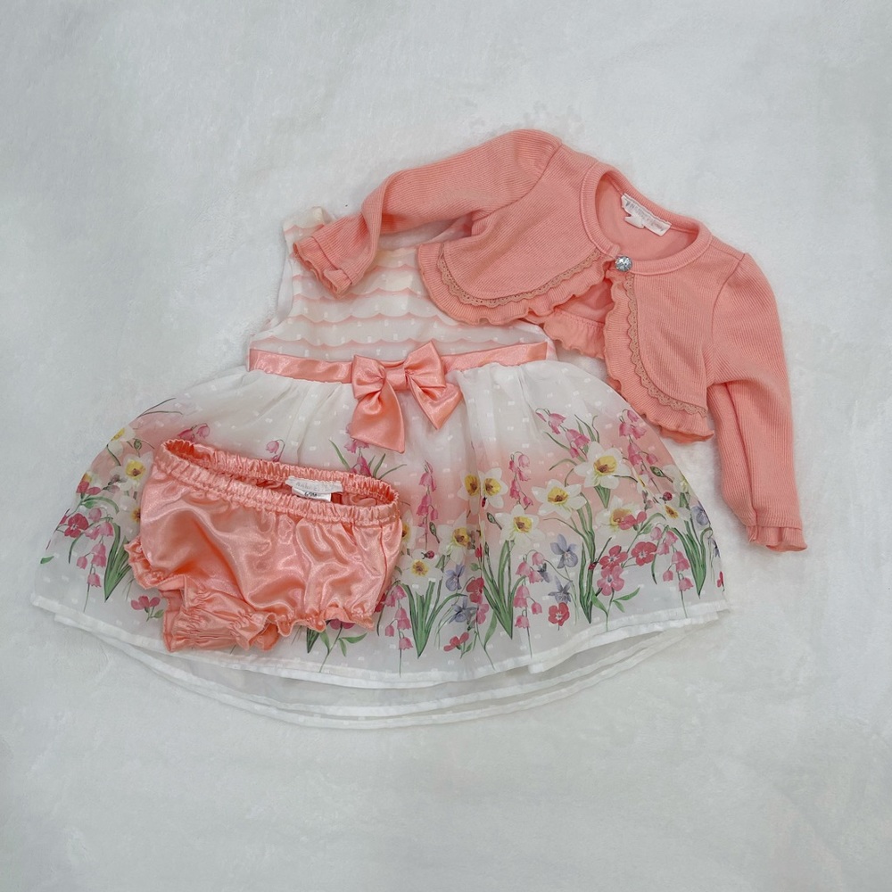 Nannette Baby Spring Floral Dress